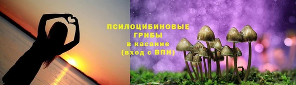 Альфа ПВП Рославль
