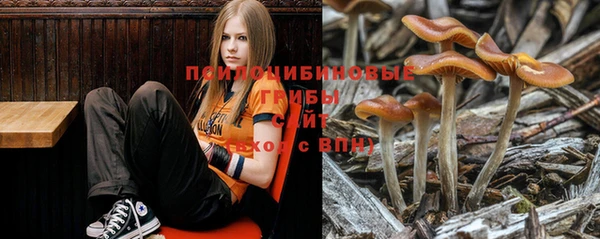 каннабис Алзамай