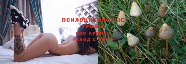 каннабис Алзамай